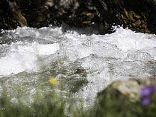 Fresh mountain spring water